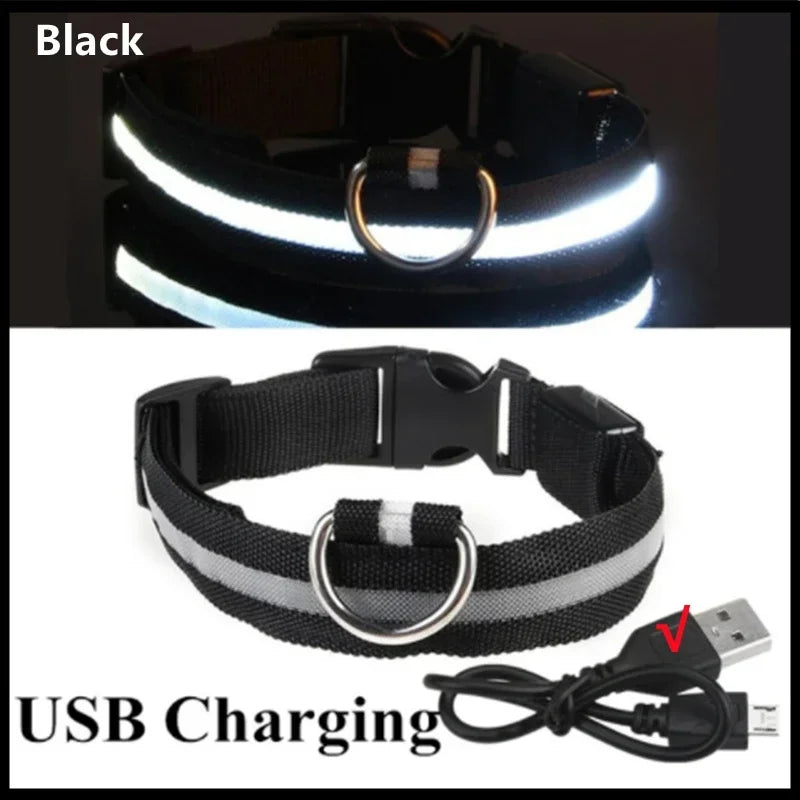 LED-Leuchthalsband für Hunde – per USB aufladbar, 3 Leuchtmodi, verstellbar in 4 Größen