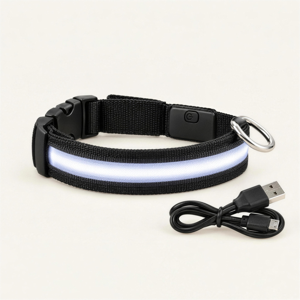 Collare luminoso LED